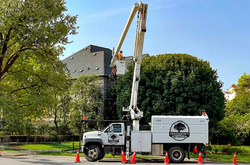 Tree Removal Brighton, Ontario and Bucket Truck Hire