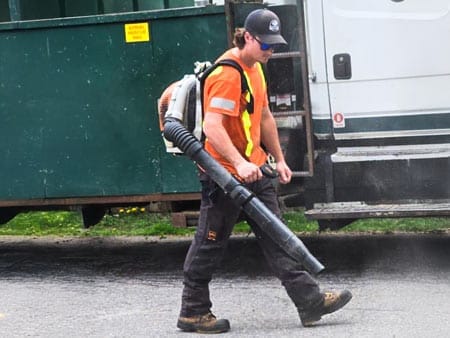 Tree Services Kennisis lake Clean up Services