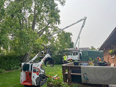 Sarginson's Tree Service Minden