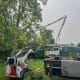 Tree Removal in Bobcaygeon. Certified arborists removing storm-damaged silver maple trees beside a home in Bobcaygeon, Ontario