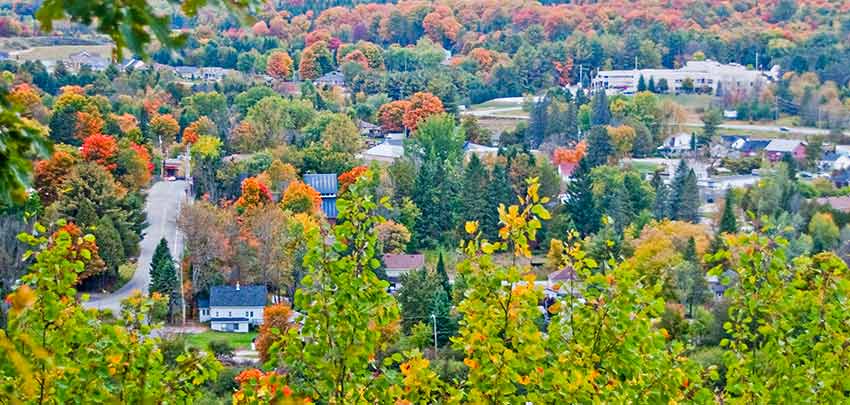 Tree Service Minden Ontario - Sarginson't Tree Services Haliburton County