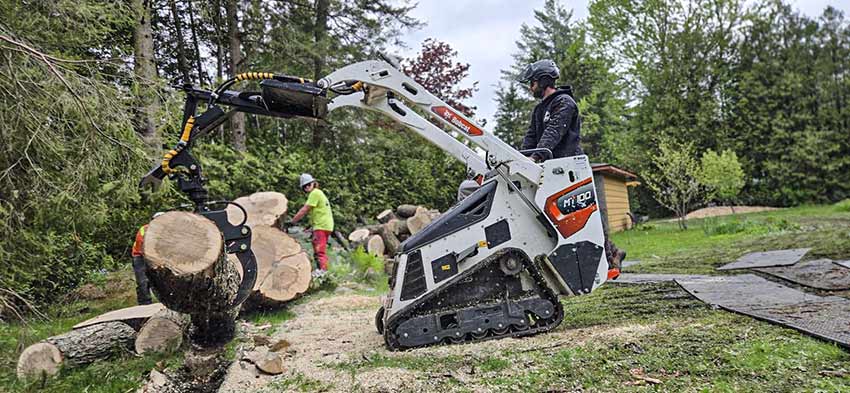 Arborist Services in Pickering Ontario