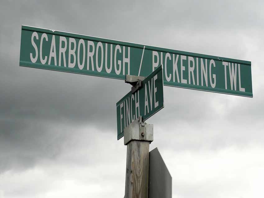 Arborist Services in Pickering FAQ Section