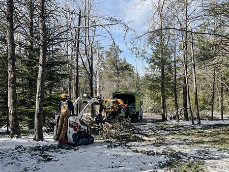 Kennisis Lake Trusted Tree Care Providers