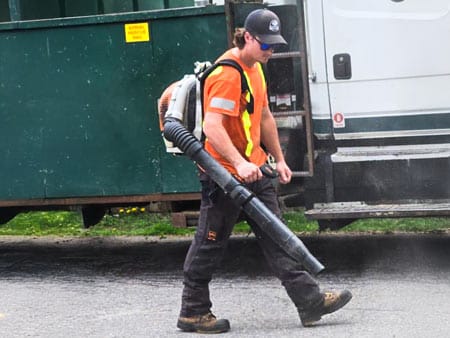 minden tree service clean up