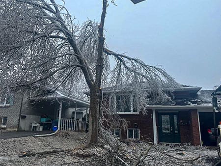 Tree Services Kennisis Lake Storm Removal Services