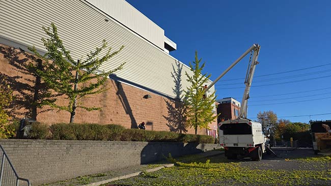 Sarginson's tree removal equipment and crew working outside the Tribute Communities Centre in downtown Oshawa. Sarginson bucket truck positioned to work on trees beside Tribute Communities Centre